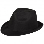 Шляпа Trilby